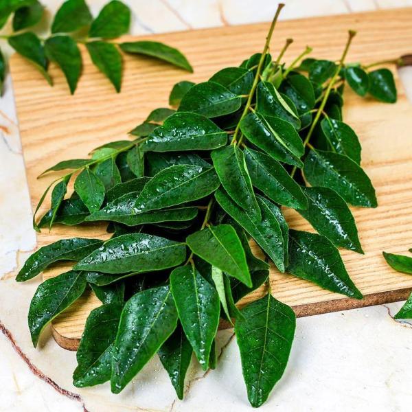 Dry Curry Leaves, Dried Kari Pata, Asto Curry Leaf